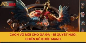 Cách Vô Mồi Cho Gà Đá - Bí Quyết Nuôi Chiến Kê Khỏe Mạnh