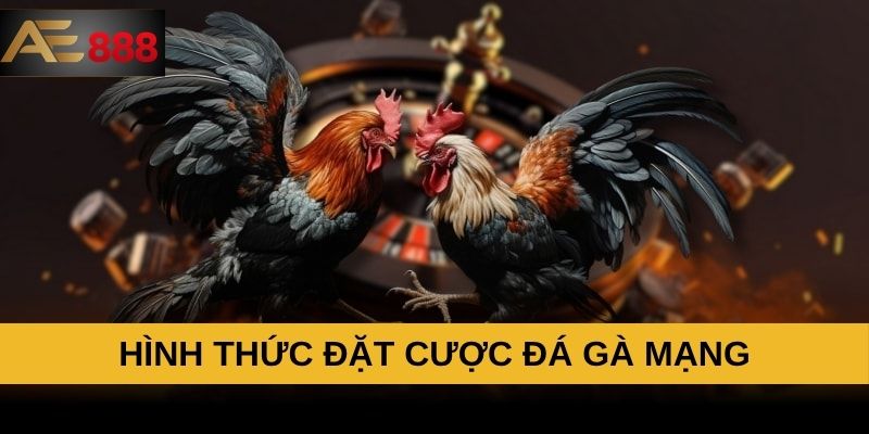 Hình thức đặt cược đá gà mạng Hình thức đặt cược đá gà mạng