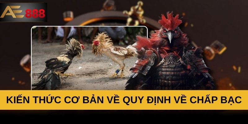 Kiến thức cơ bản về quy định về chấp bạc Kiến thức cơ bản về quy định về chấp bạc