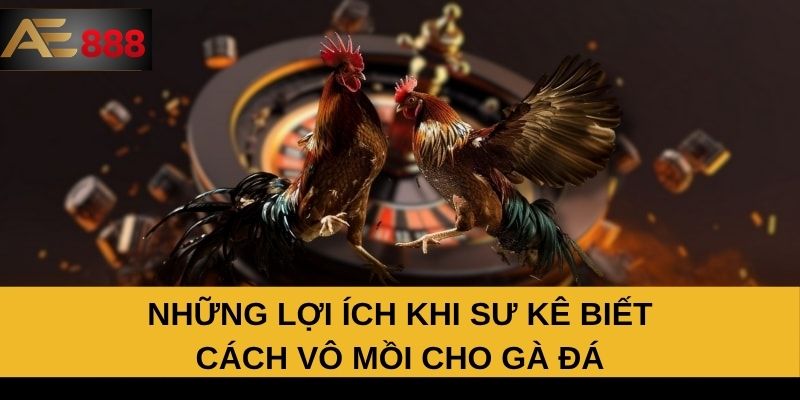 Những lợi ích khi sư kê biết cách vô mồi cho gà đá