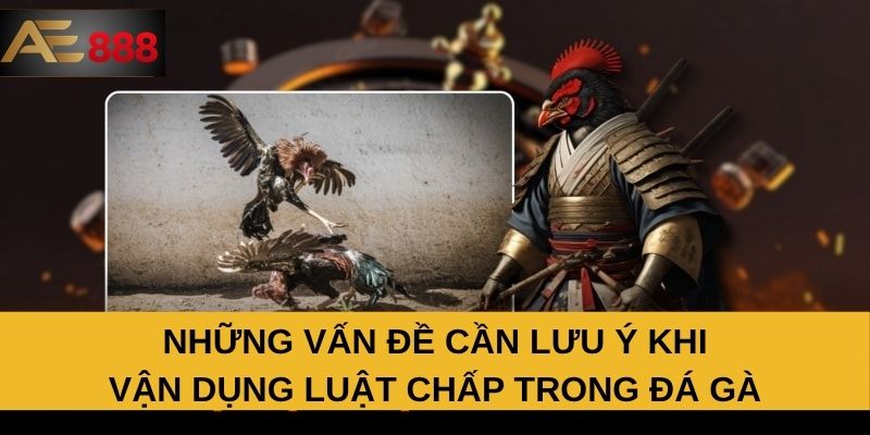 Những vấn đề cần lưu ý khi vận dụng luật chấp trong đá gà Những vấn đề cần lưu ý khi vận dụng luật chấp trong đá gà