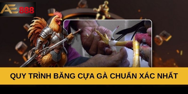 Quy trình băng cựa gà chuẩn xác nhất Quy trình băng cựa gà chuẩn xác nhất