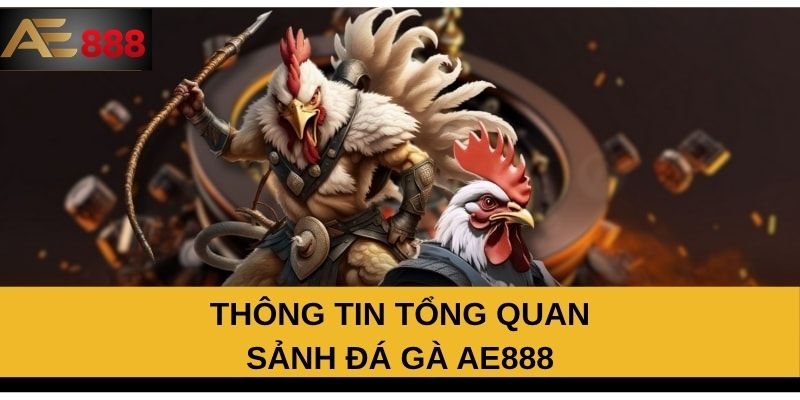 Thông tin tổng quan sảnh đá gà AE888 Thông tin tổng quan sảnh đá gà AE888
