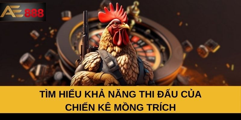 Tìm hiểu khả năng thi đấu của chiến kê mồng trích